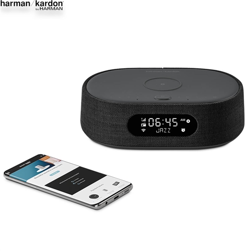 Loa Harman Kardon Citation Oasis DAB 6
